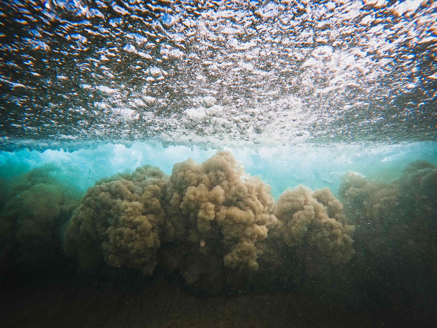 Beneath The Surface - SoCal Surfer