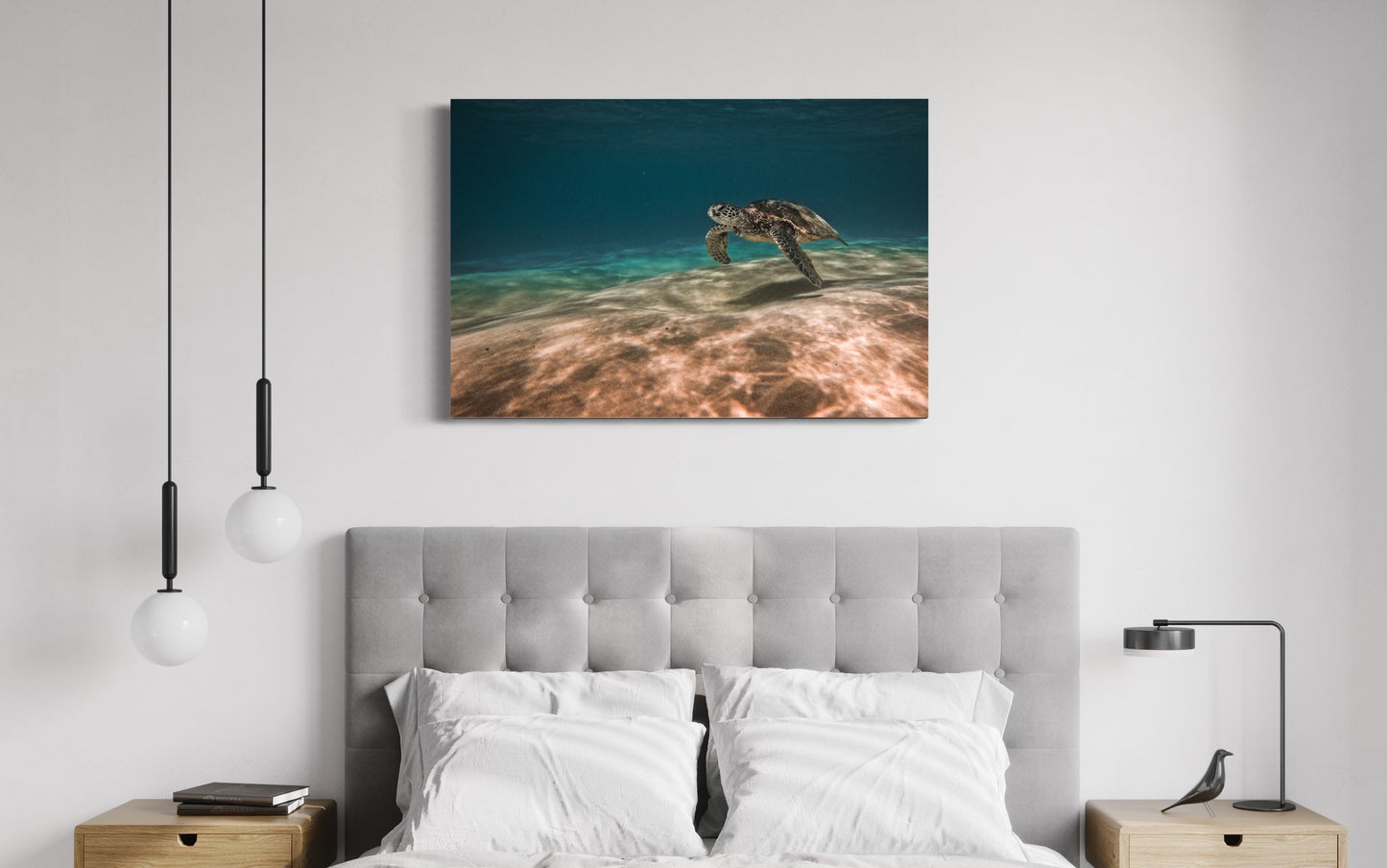 Peaceful Honu - SoCal Surfer