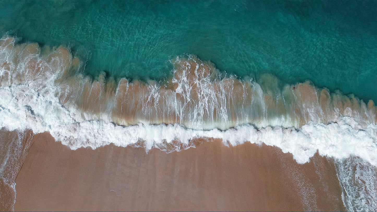 Shoreline Bliss - SoCal Surfer