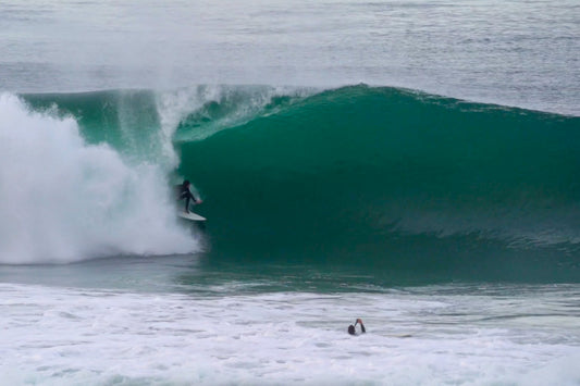 Black Beach & La Jolla Cove Go XXL