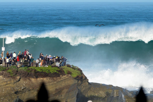 La Jolla Cove Goes Super-sized!